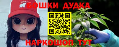 тгк Бердск