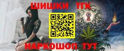 тгк Бердск