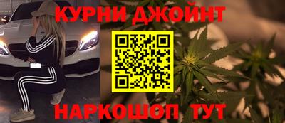 тгк Бердск