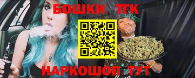 тгк Бердск