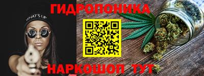 тгк Бердск