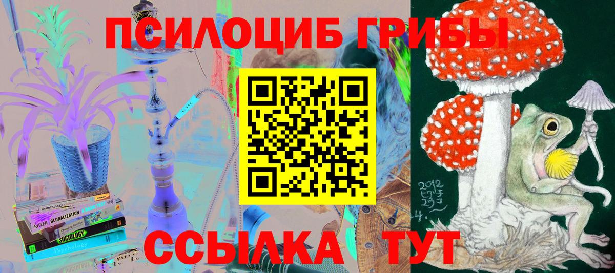 Галлюциногенные грибы прущие грибы Артёмовский